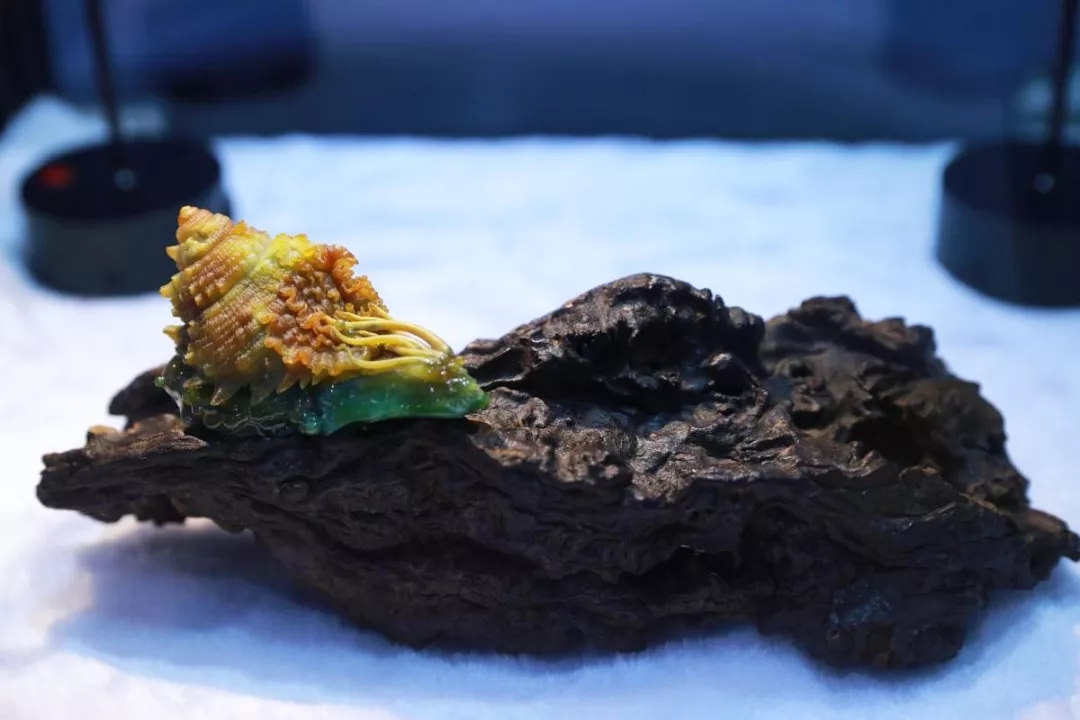 640.webp (78).jpg 640.webp (78).jpg